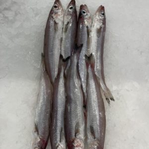 Bacaladilla pescado frescos