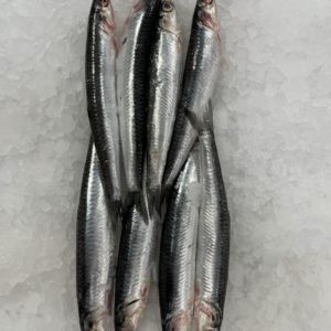Boquerón pesccado frescos