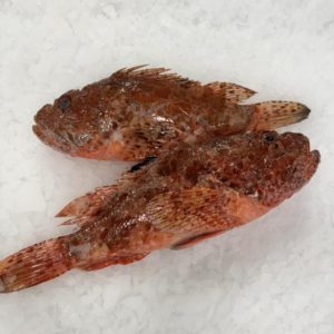 Cabracho pescado fresco