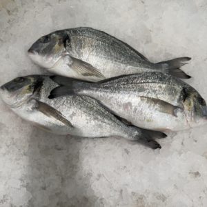 Dorada pescado frescos