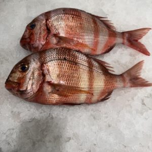 Hurta pescado frescos