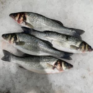 Lubina pescado frescos