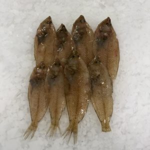 Palaeta pescado frescos