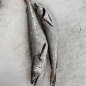 Pescadilla playa