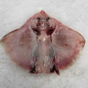 Raya pescado fresco